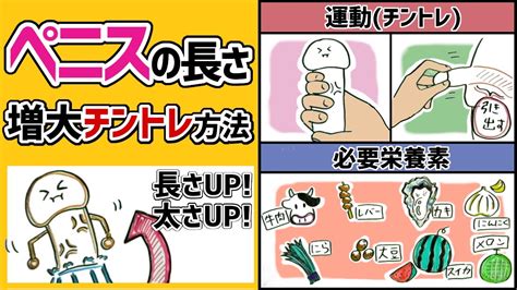 ちんこがでかくなる方法|ペニスの成長について。大きくならなかった原因と再。